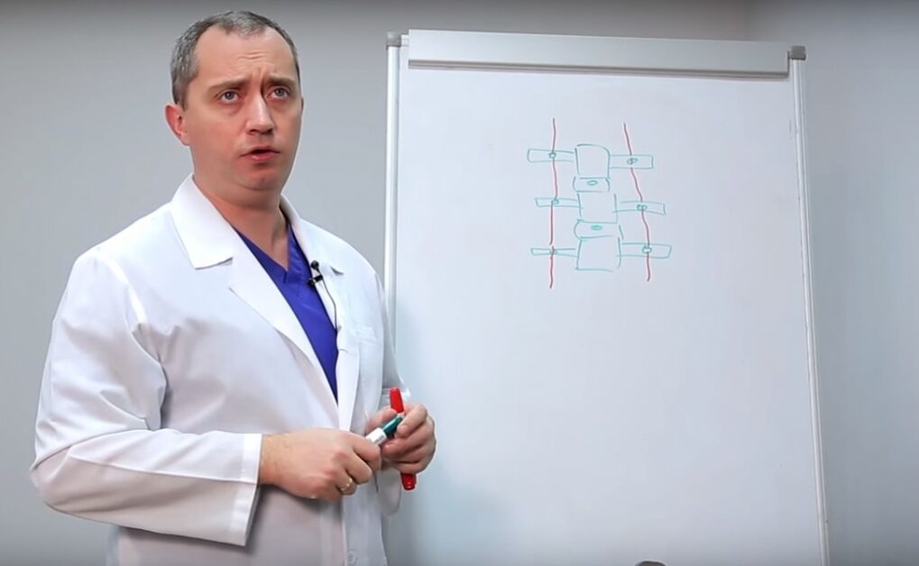 Doktor pokazuje strukturu kralježnice